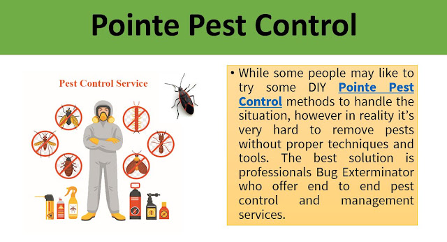 Pointe Pest control