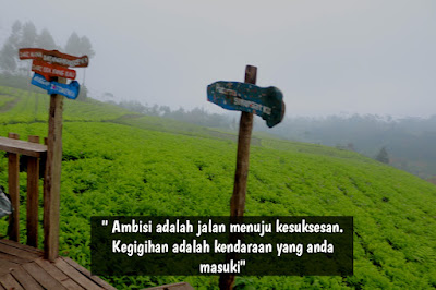 Quotes perjalanan untuk jalan menuju kesuksesan