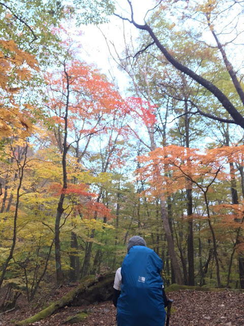 紅葉と女