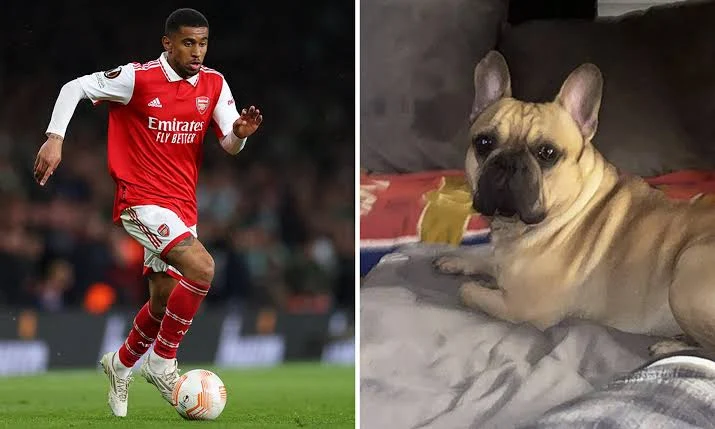 Arsenal star Reiss Nelson ‘to face criminal trial over alleged dog attack’