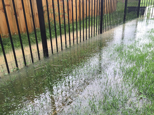 flooded backyard