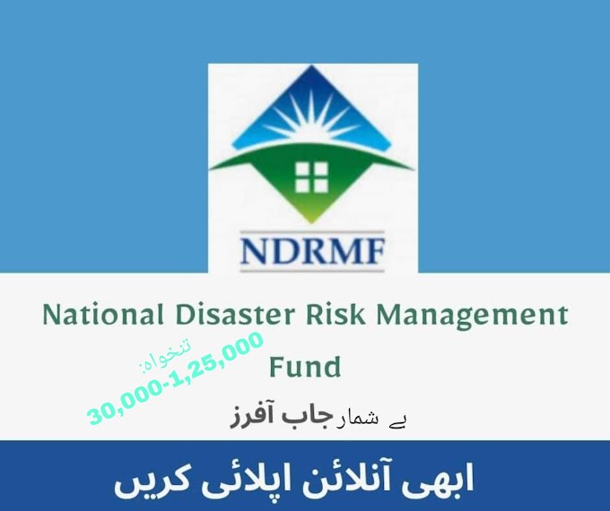 National Disaster and Risk Management Jobs 2022 - Apply Online - Jobz Khoji