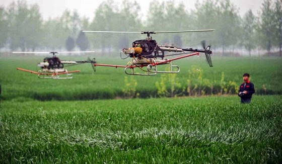 FOTO: Petani di China Semprotkan Pestisida Dengan Helikopter Remote Control