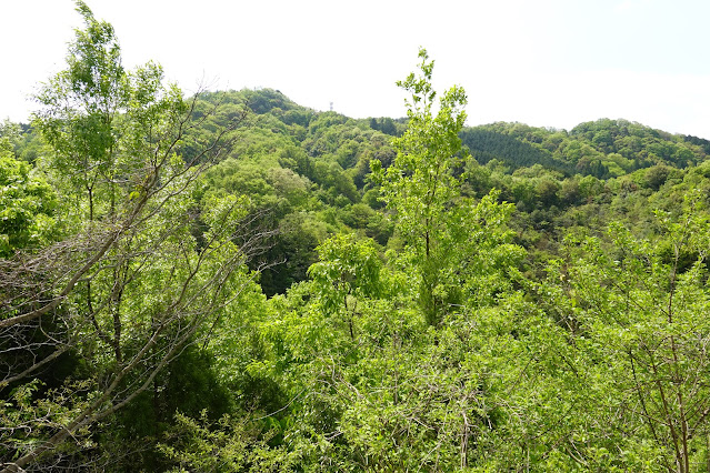 鳥取県西伯郡南部町上中谷 鎌倉山グリーンラインからの眺望