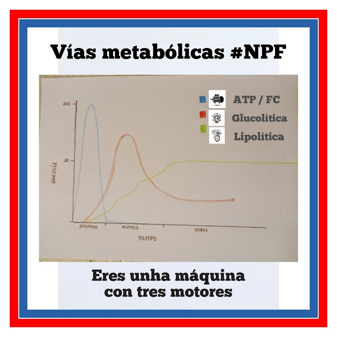 A NAVALLA DE BOTIS - Fascículo 5: Desmontando un deportista - Capítulo I: a enerxía