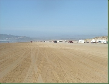 DSCF3025