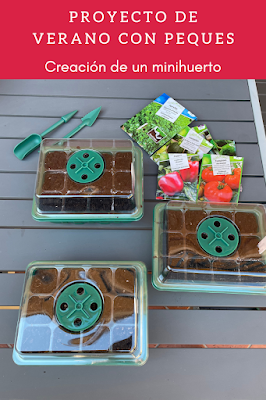 Mini huerto con niños