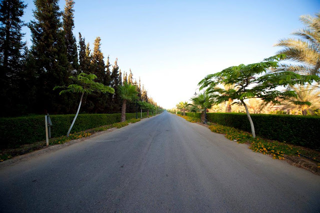 فلل للبيع في وادي النخيل بالطريق الصحراوي Wadi El Nakhil Compound