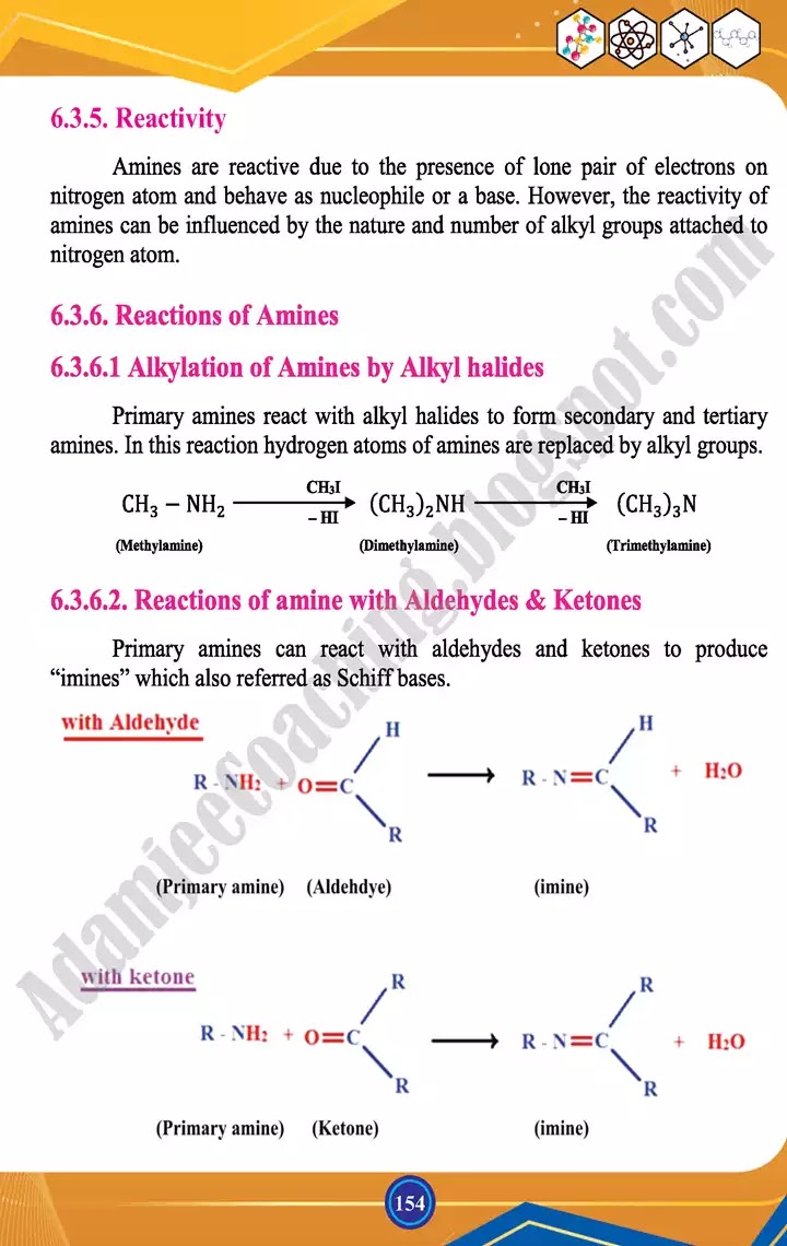 alkyl-halides-and-amines-chemistry-class-12th-text-book