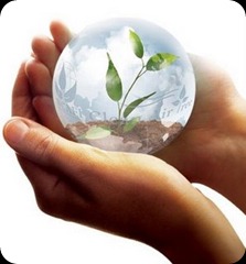 Grow Trees