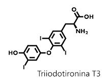 triiodtironina-t3 estrutura