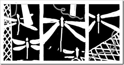 03_Evoluzione_Fatomale_2