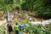 Tanggul Jebol; Ribuan Ha Sawah di Sidomulyo dan Garahan Silo, Kesulitan Air