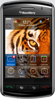 Blackberry Storm 9550