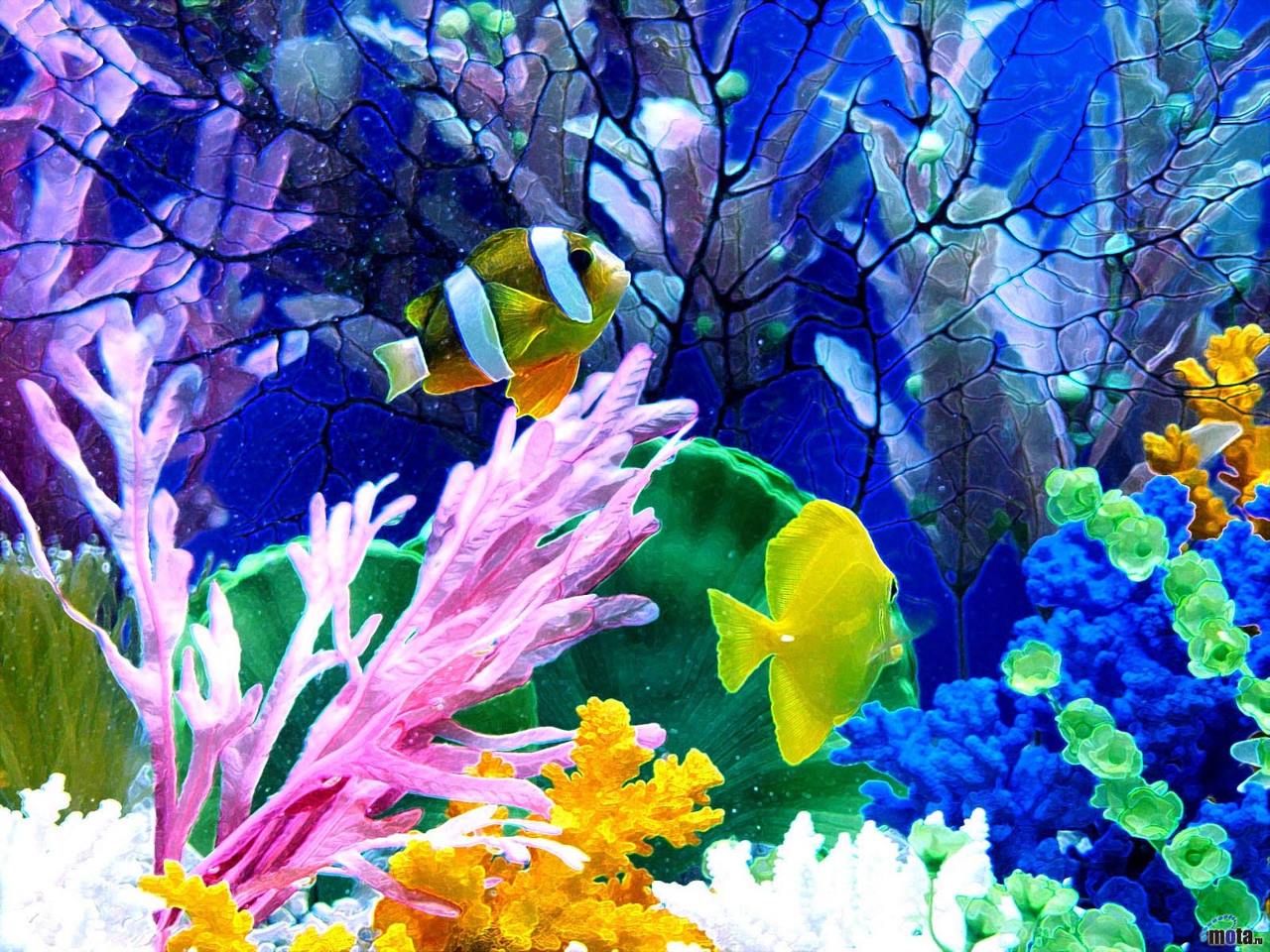 Aquarium hd wallpaper, aquarium wallpaper - HD Wallpapers