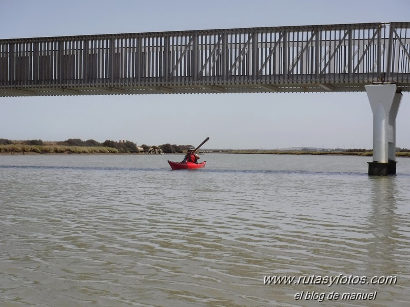 Kayak San Fernando - Chiclana