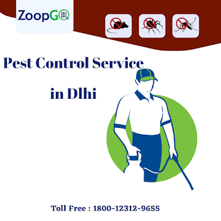 pest control in delhi