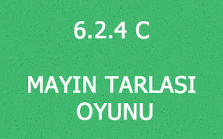 6.2.4 C MAYIN TARLASI OYUNU