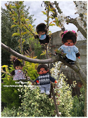 kiki monchhichi chimutan pâques easter chocolat monchhichi monkiki