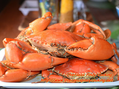 Steamed Crabs