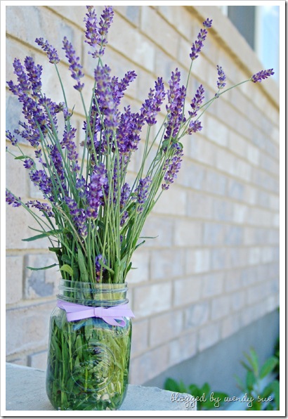 071609_lavender