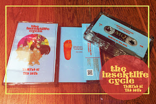 Cassette tape edition of Temple of The Soul by The Insektlife Cycle