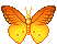 Gif de borboleta