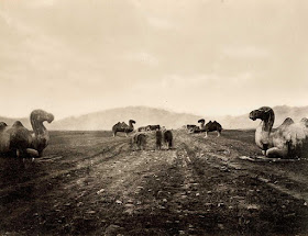 Fotografías antiguas de China (1870-1890)