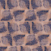 Sea Shell Fabric Design