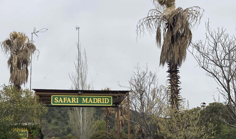 Safari Madrid entrada