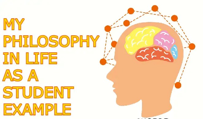 what is your philosophy in life 500 words essay