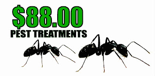 $88 ant treatment coupon