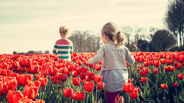 Children playing land tulip HD Wallpaper
