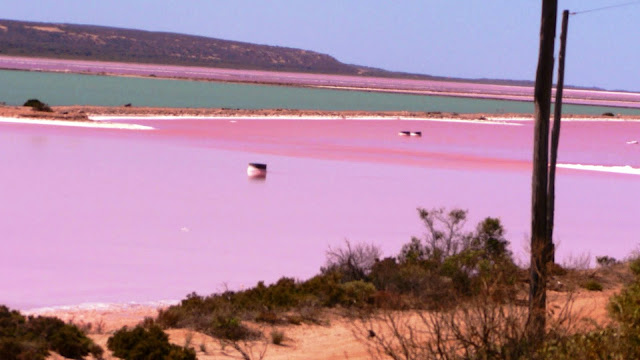 Pink Lakes - Rare Natural Wonders