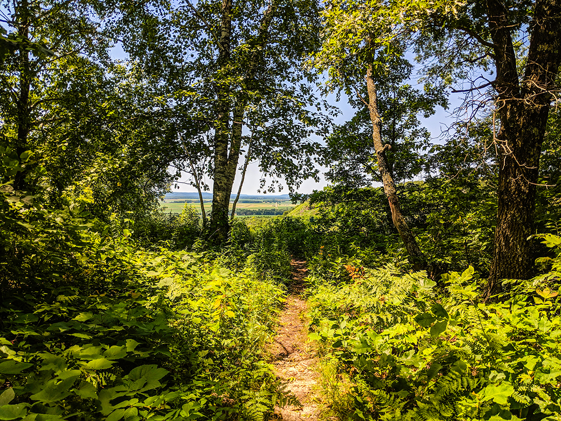 Spring Green Preserve