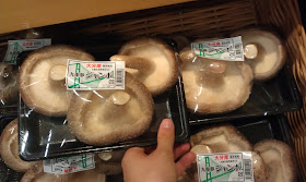 Shitake mushrooms as big as my hand