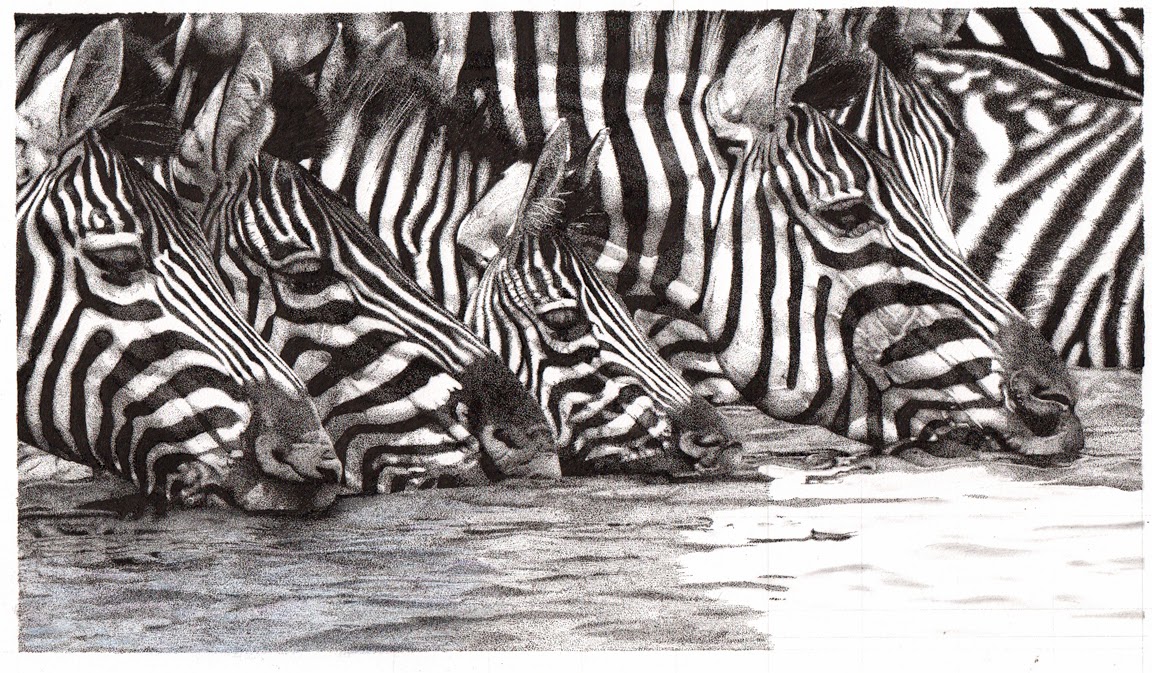 zebradrawingcopy-2014-12-21-09-58.jpg