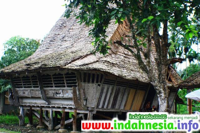  Gambar  Museum Pusaka Nias Arsitektur Gaya Rumah  Adat  Omo  