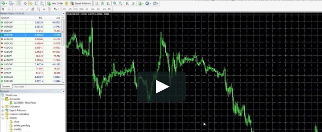 webtrader