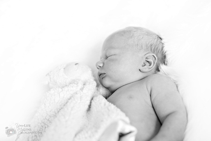 IMG_2725-bwcopy