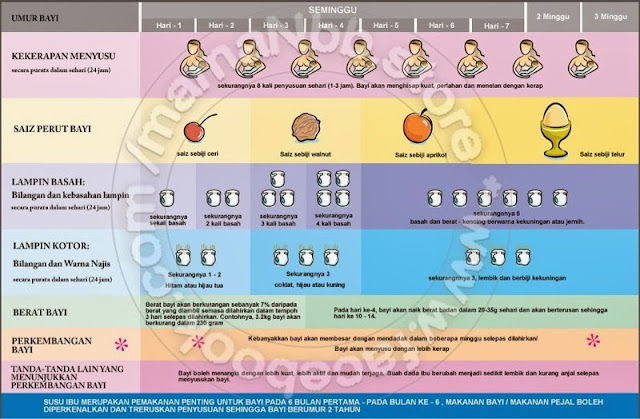 Vanillasky: Panduan Penyusuan/Menyusu Bayi/Jumlah 