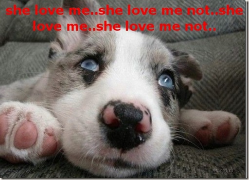 Funny Pictures: Love me not??