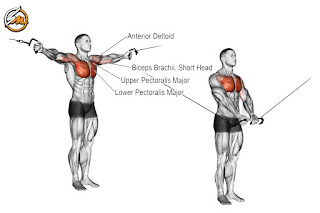 Best Cable Flyes Variations for Sculpting a Strong Chest