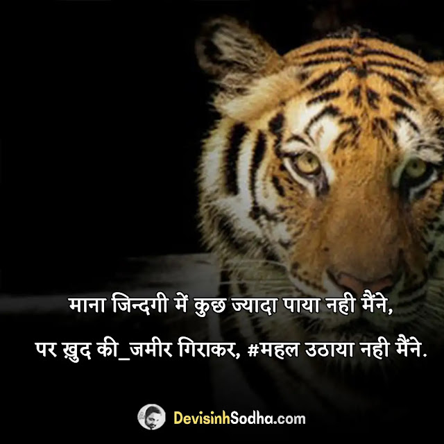 tiger shayari in hindi, tiger attitude shayari in hindi, बाघ शायरी, डॉन वाली शायरी, शेर की दहाड़ वाली शायरी, शेर पर शायरी, lion king shayari, shayari on sher tiger in hindi, tiger पर शायरी, बब्बर शेर स्टेटस इन हिंदी