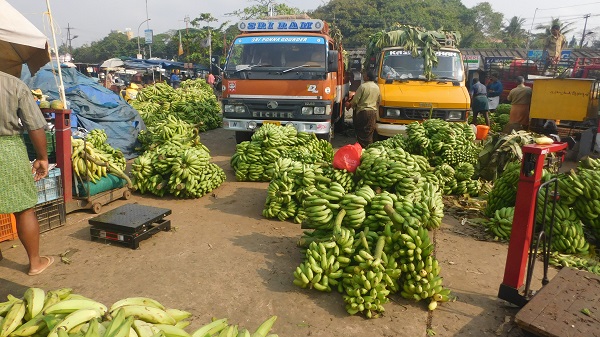 marche aux bananes thrissur kerala