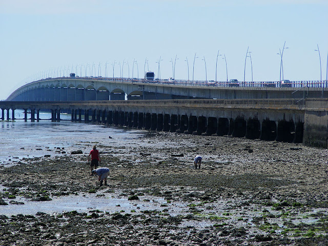 Ile d'Oleron bridge, Charente-Maritime, France. Photo by Loire Valley Time Travel.