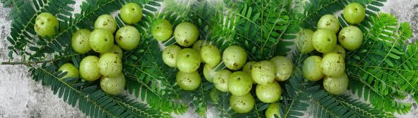 amla