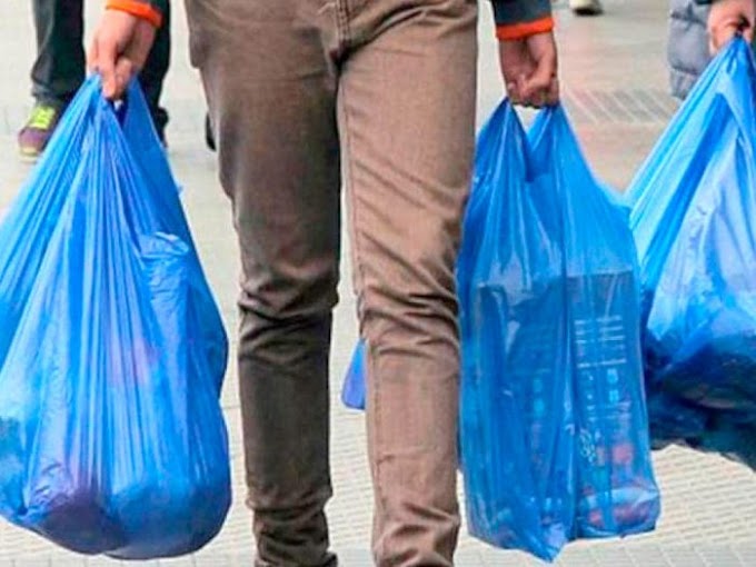 Ni tejido, ni papel: lo mejor es reducir el uso de bolsas de compras (Ingeniería ambiental)