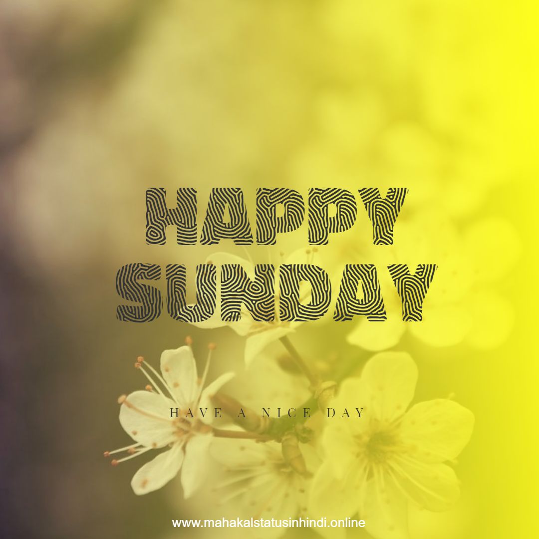 Happy Sunday Flowers  Images