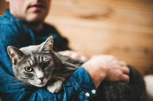 man holding cat